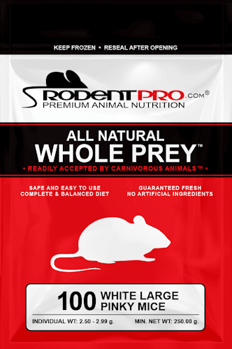 Frozen Dark Peach Fuzzy Mice 100ct for Sale: Shop RodentPro